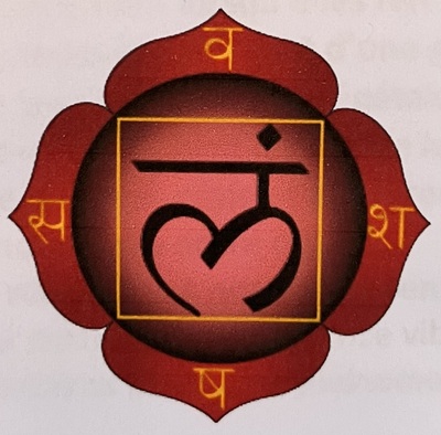 Contact Full crush bijoux