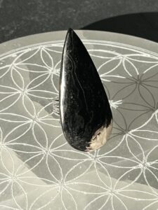 Bague Racine de palmier, d'Indonésie.