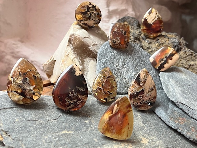 Bagues Zebra-Grass Amber d'Indonésie. Bagues Zebra-Grass Amber d'Indonésie.