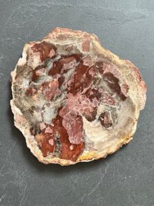 Bois fossilisé, vieux de 225 Millions d'années, en provenance de Madagascar. Bois fossilisé, vieux de 225 Millions d'années, en provenance de Madagascar.