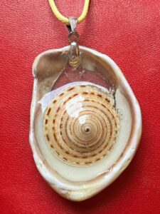 Création personnelle, coquillage, résine. Création personnelle, coquillage, résine.