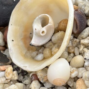 Composition naturelle des sables