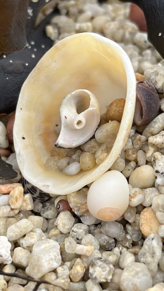 Composition naturelle des sables