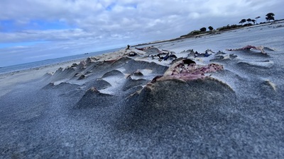 Vagues des sables, plage du Nord Finistère.